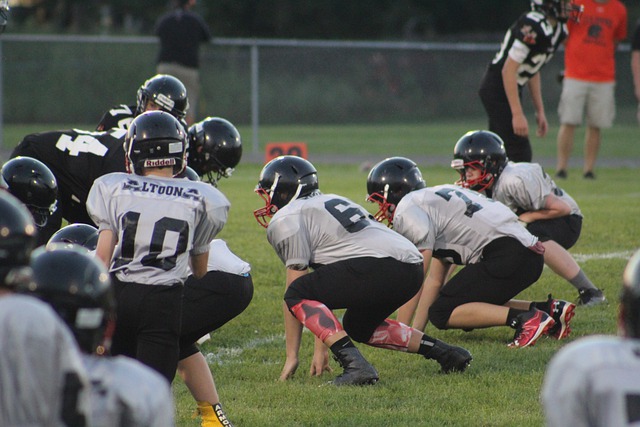 也为年轻一 也为年轻一