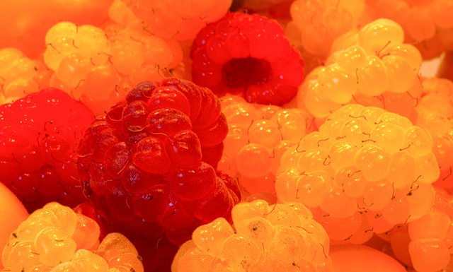 傷病狀況給 傷病狀況給