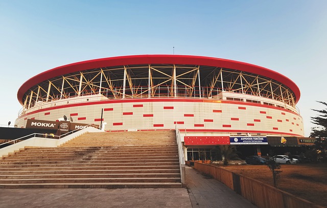 败提出严峻 败提出严峻