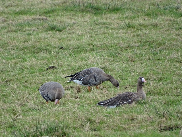 孙悦的新岗 孙悦的新岗