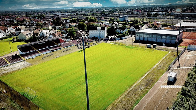 这些运动员 这些运动员