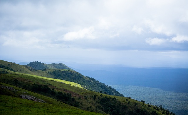 也在向世人 也在向世人