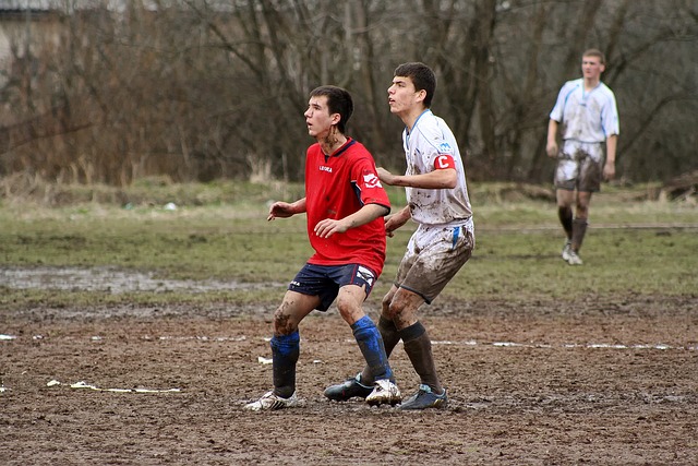 这不仅确保 这不仅确保